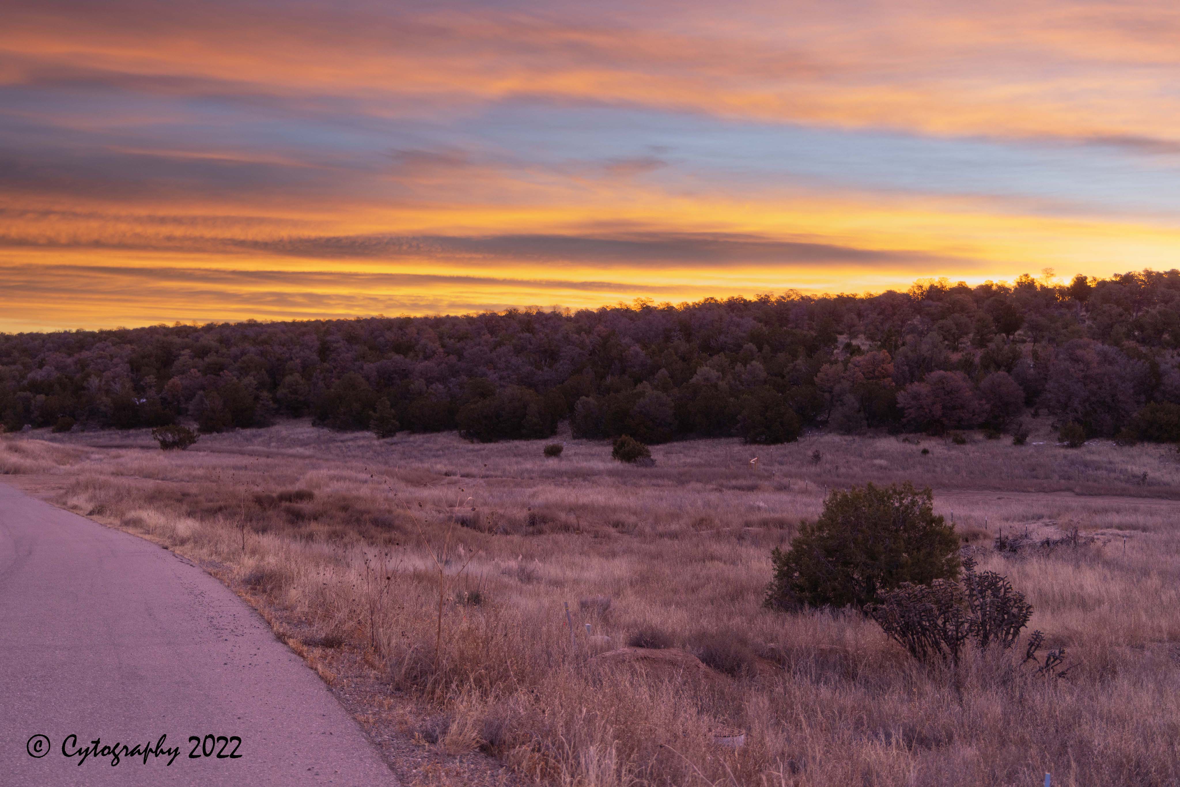 sunrise Christmas 2022-2.jpg