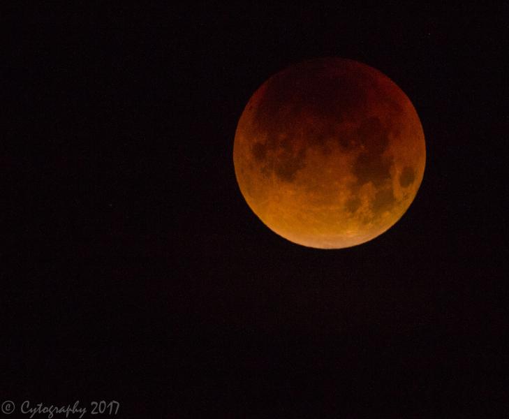 Super Blood Moon-0034-2.jpg