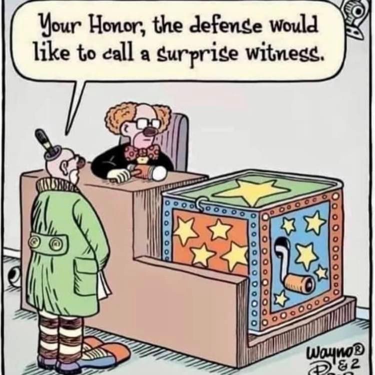 surprise witness.jpg