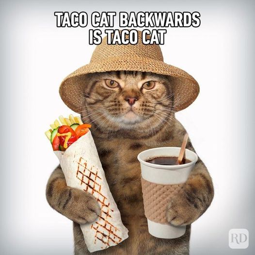 tacocat.jpg