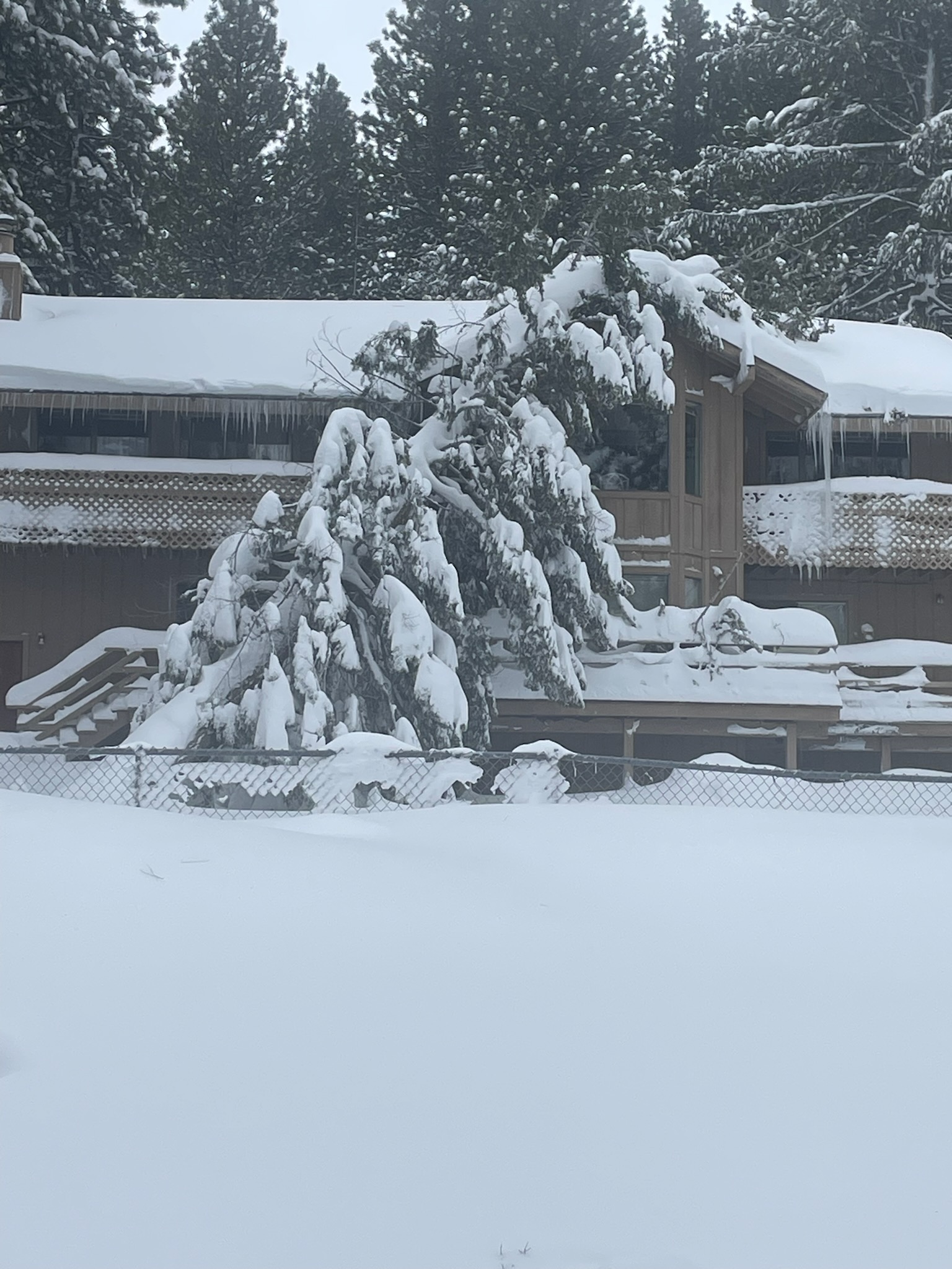 tahoe.jpg