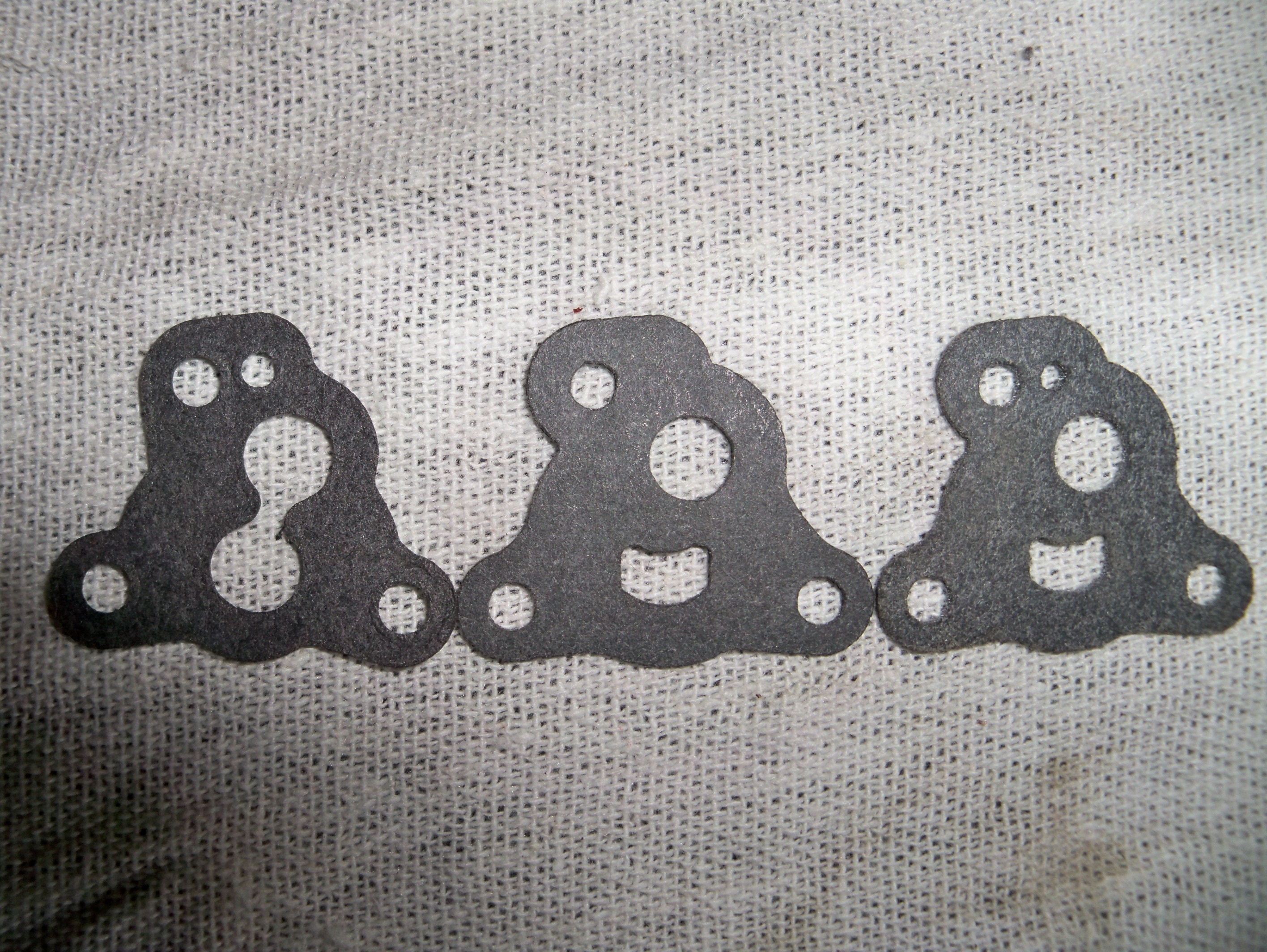 TBV gaskets 002.JPG