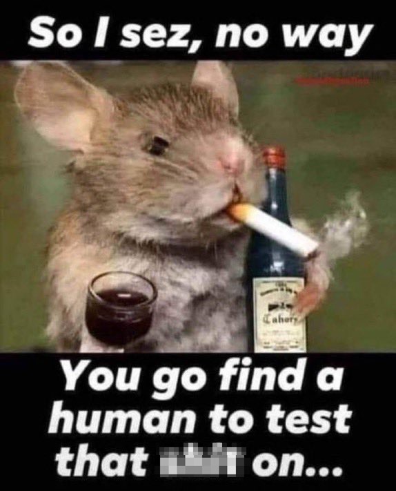 testrat.jpg