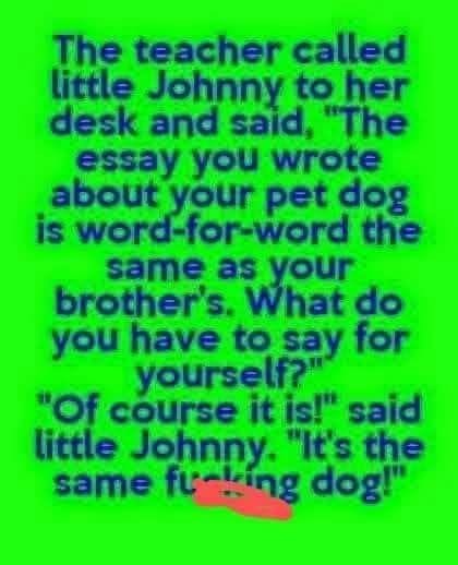 The same dog.jpg