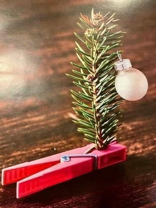 The Tree is Up.jpg