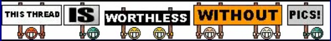 ThisThreadIsUselessWithoutPics.jpg