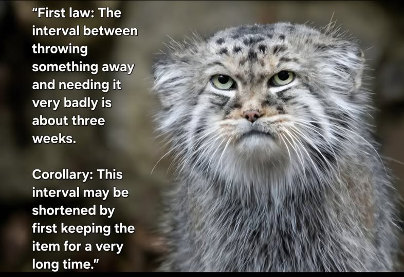 Throwing somethin away.jpg