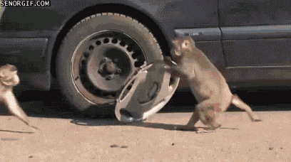 tmp.gif