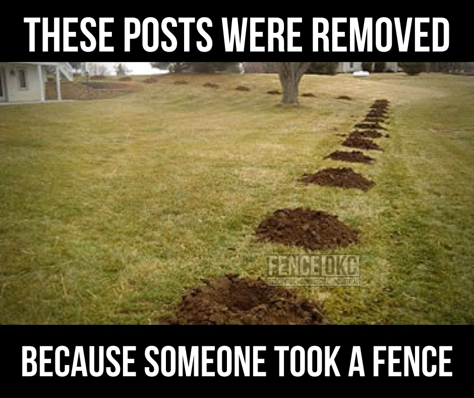 took a fence.jpg