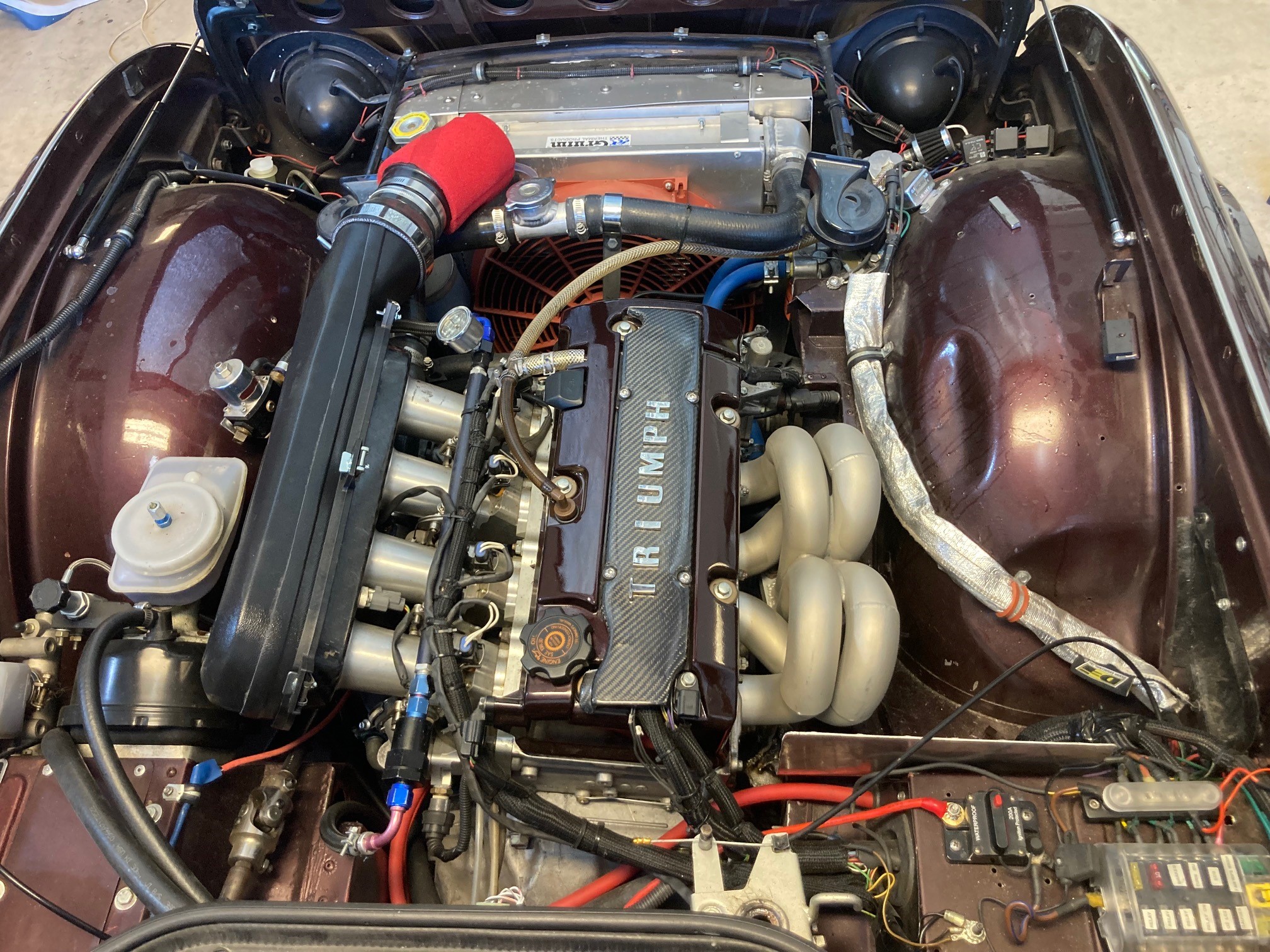 TR4 Engine Bay.jpg
