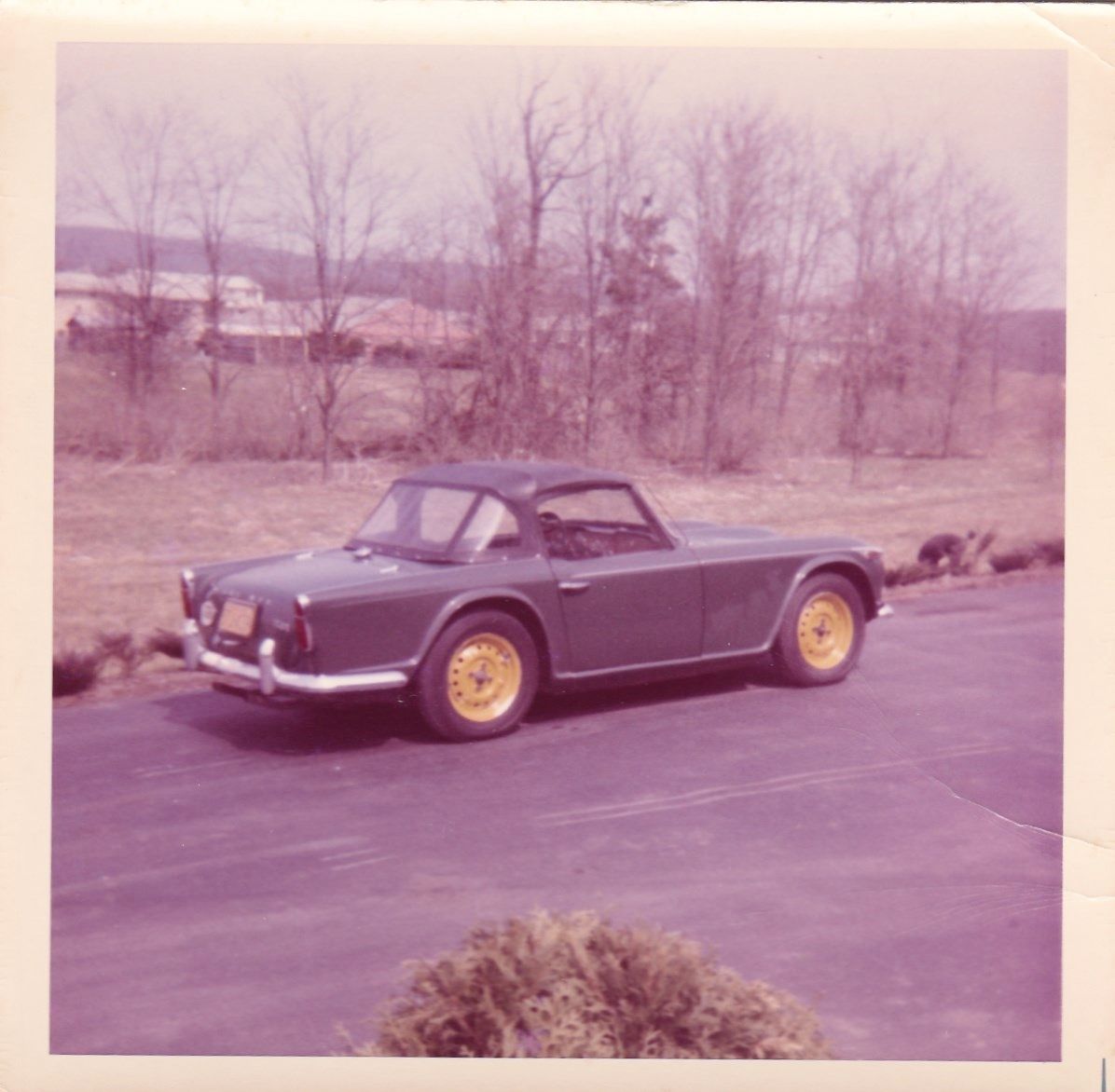 TR4a Lotus Colors.jpg