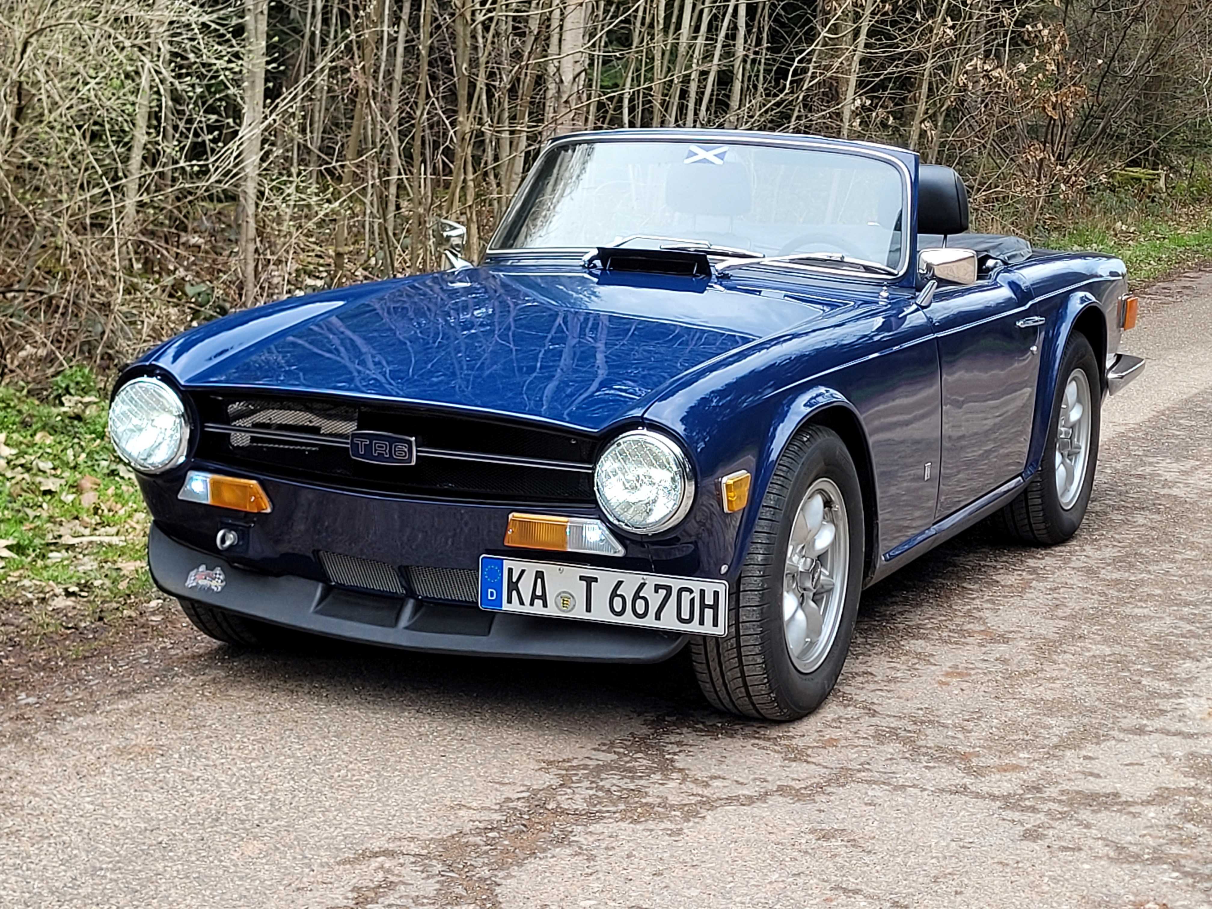 TR6-Foto2.jpg