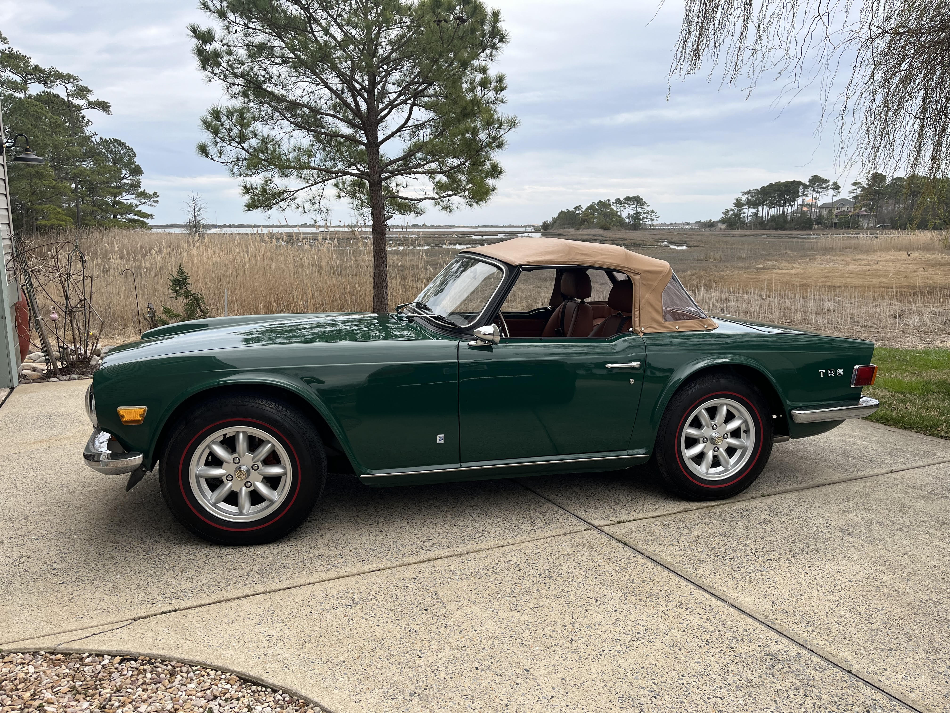 TR6 Profile Photo.jpg
