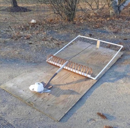 trap.jpg