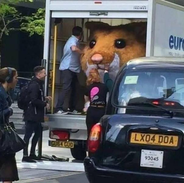 truckload.jpg