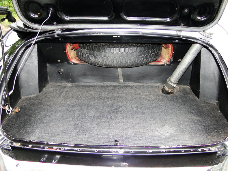 trunk1.JPG