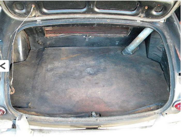 trunk3.JPG