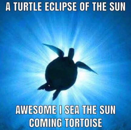 turtle eclipse.jpg