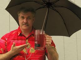 umbrella.jpg