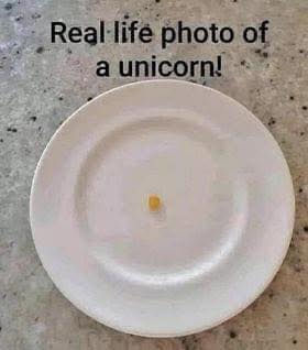 unicorn.jpg