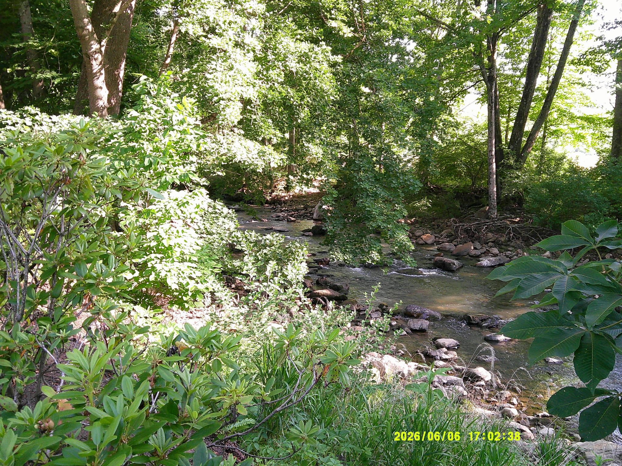 Union,WV Trip 012.JPG