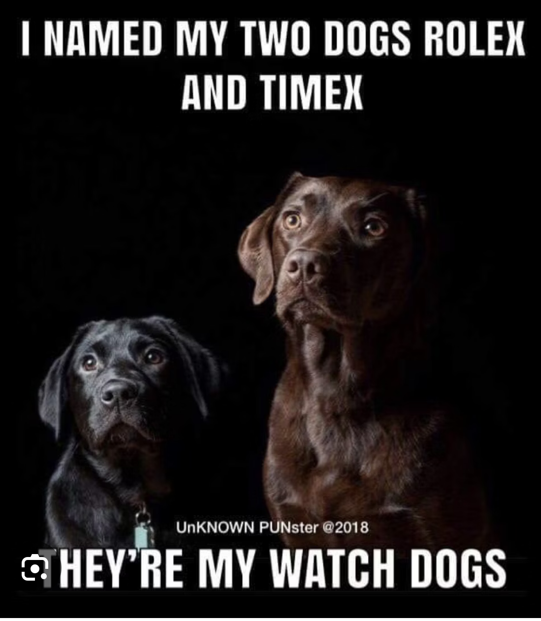 unknown punster - Google Search.png