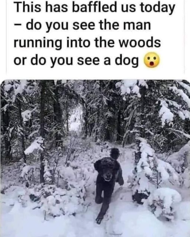 Untitled.png