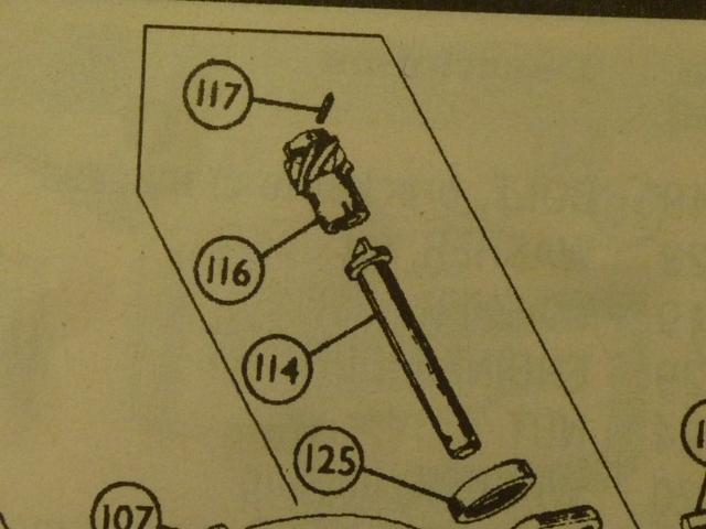 UpperDriveMoss.JPG