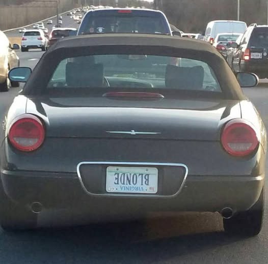 upside blonde.jpg