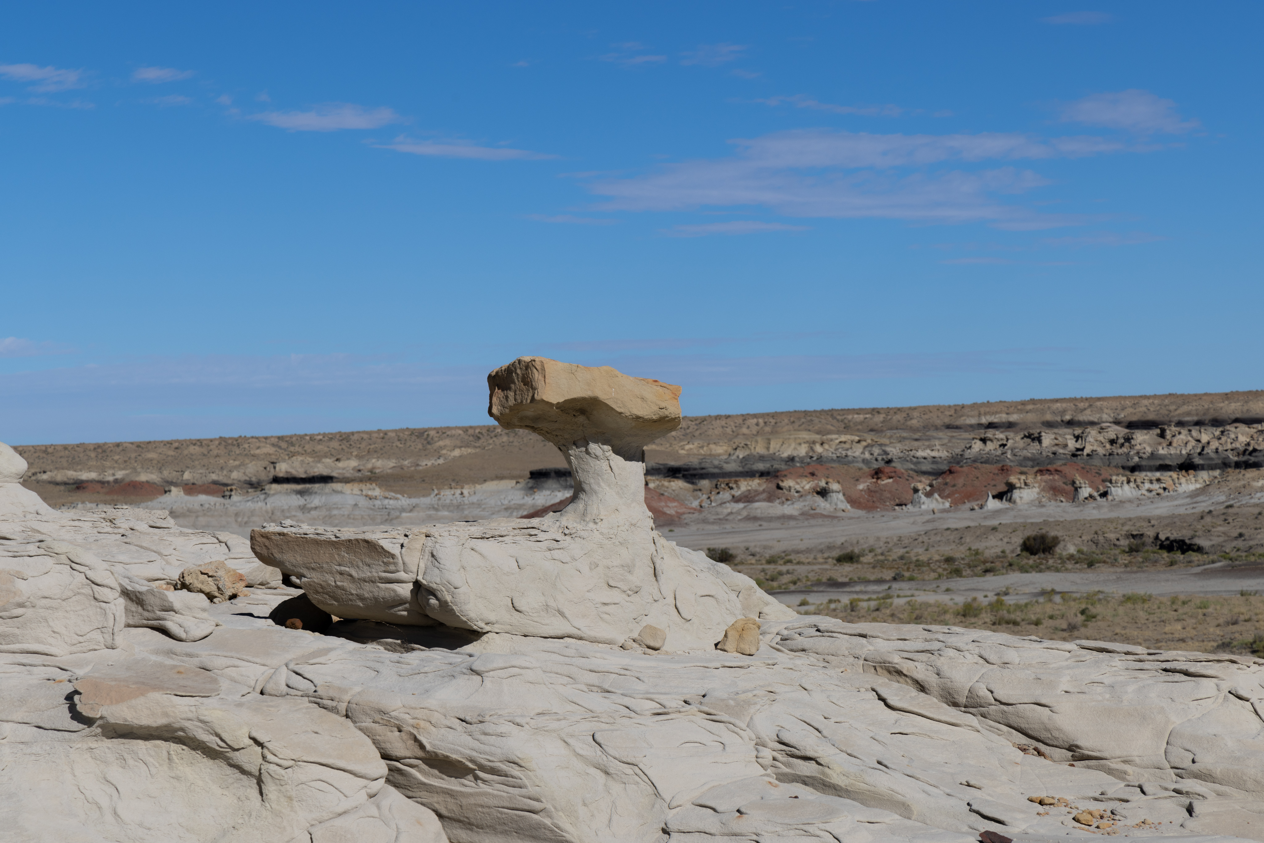 Valley of Dreams-September 03, 2023-5340.jpg