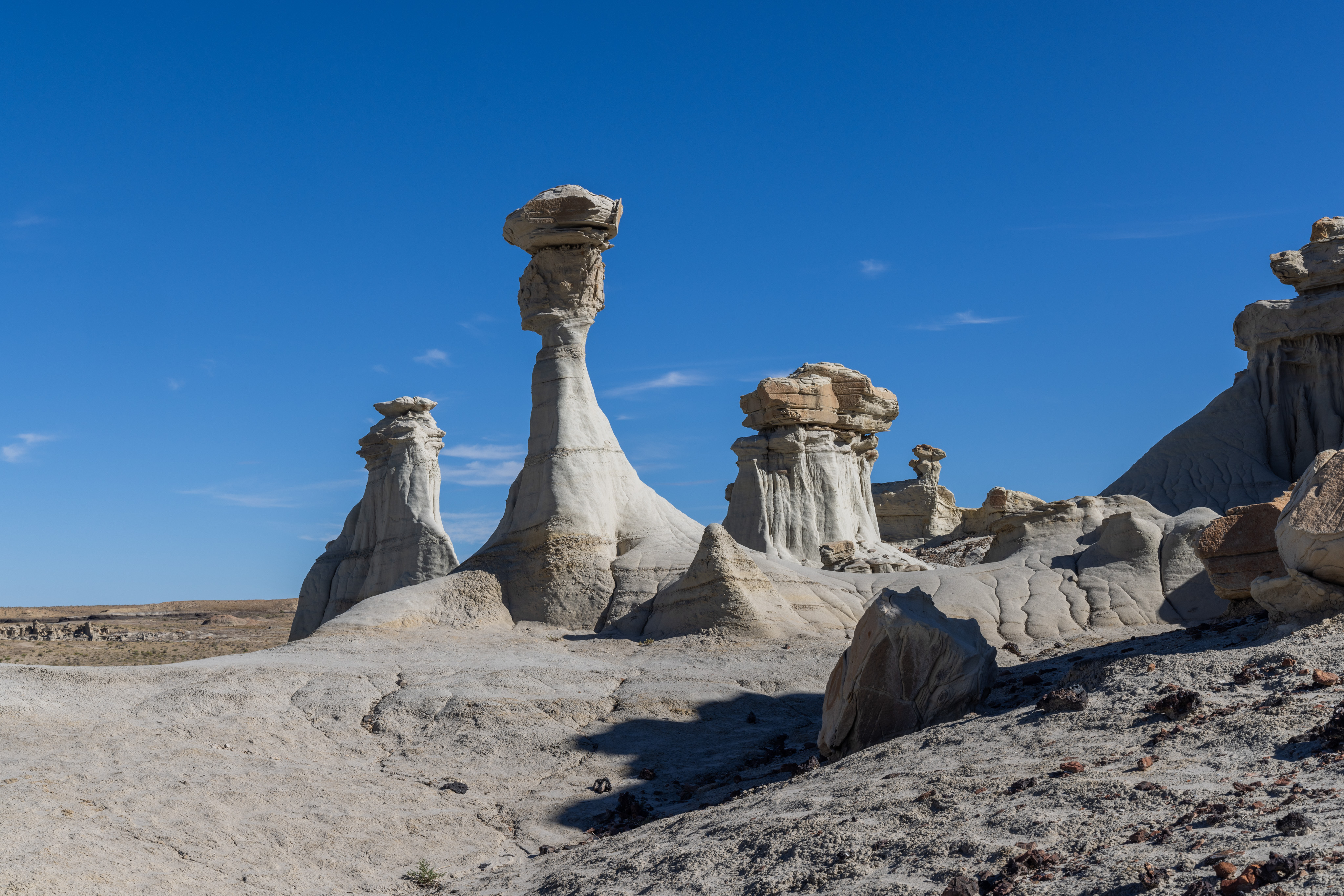 Valley of Dreams-September 03, 2023-5345.jpg