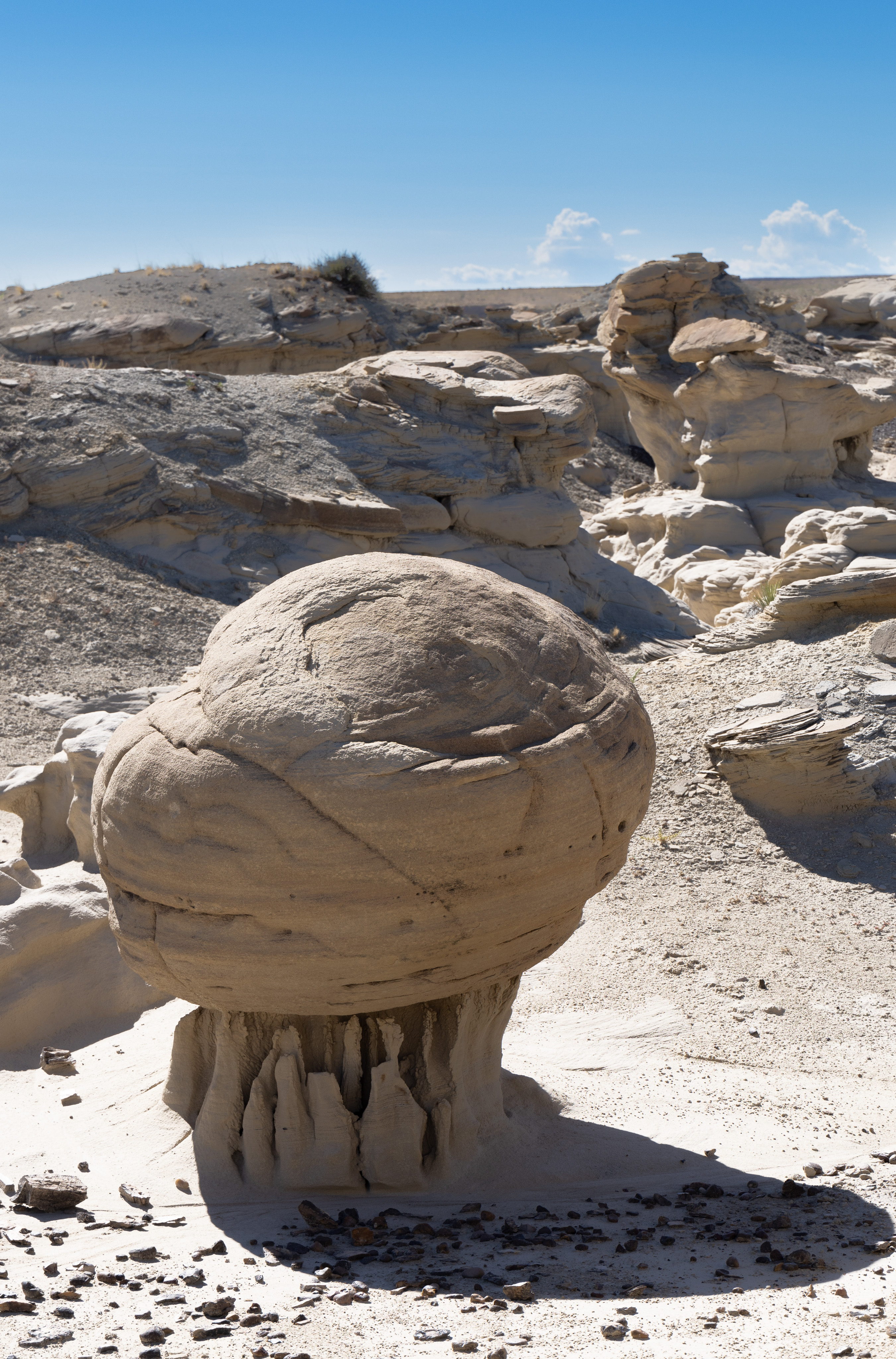 Valley of Dreams-September 03, 2023-5358.jpg