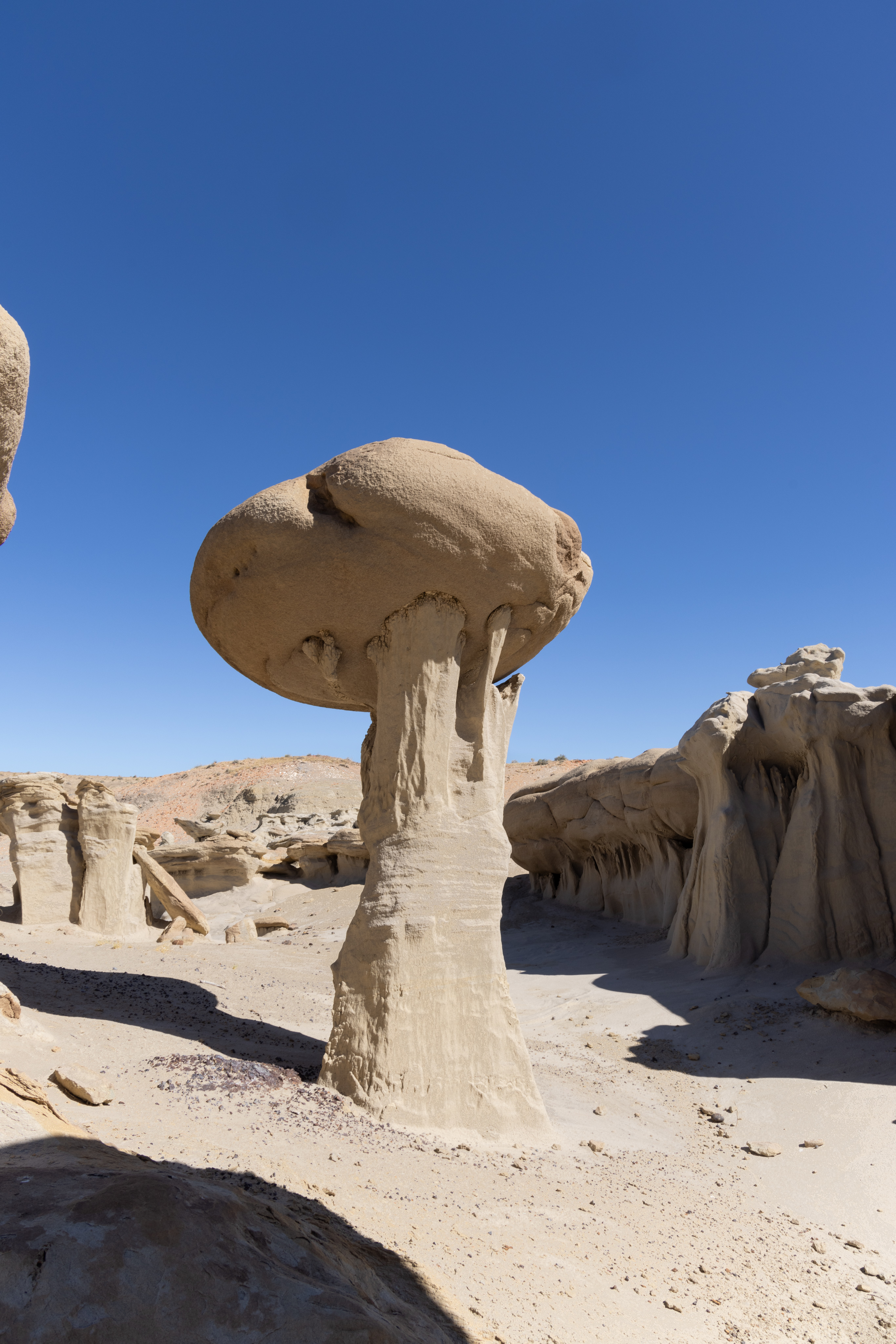 Valley of Dreams-September 03, 2023-5364.jpg