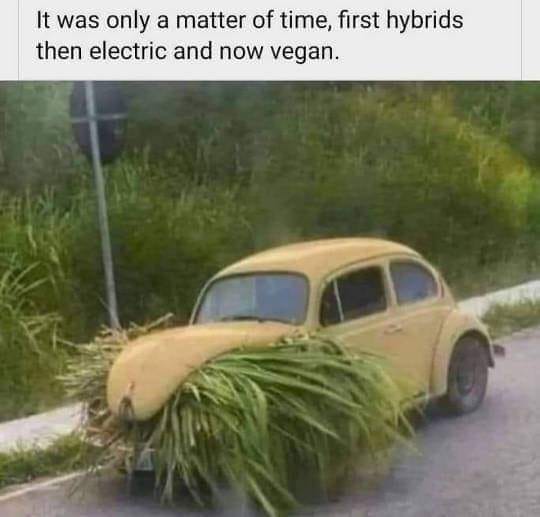 vegan VW.jpg