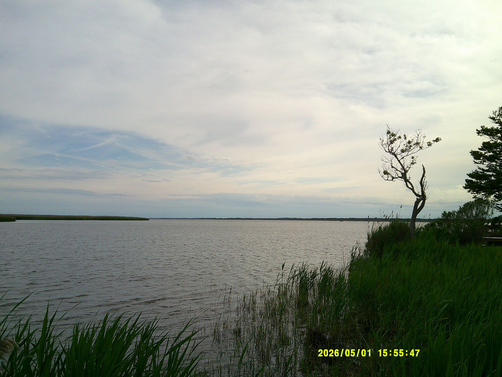 Virginia Beach '26 010.JPG