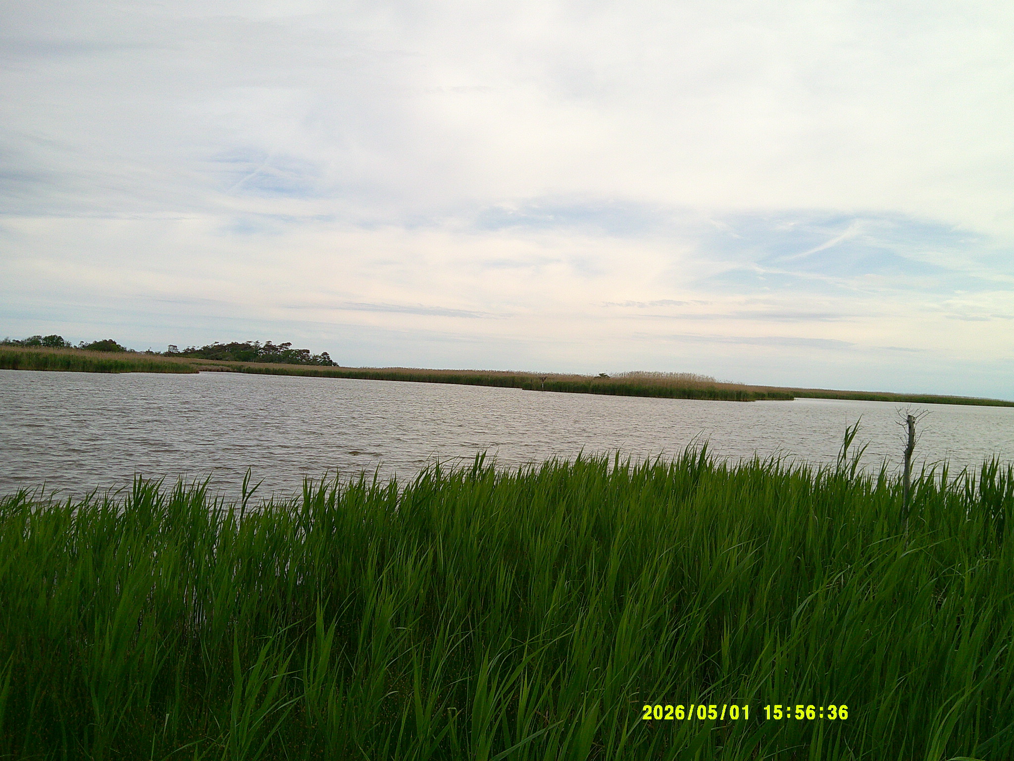 Virginia Beach '26 011.JPG