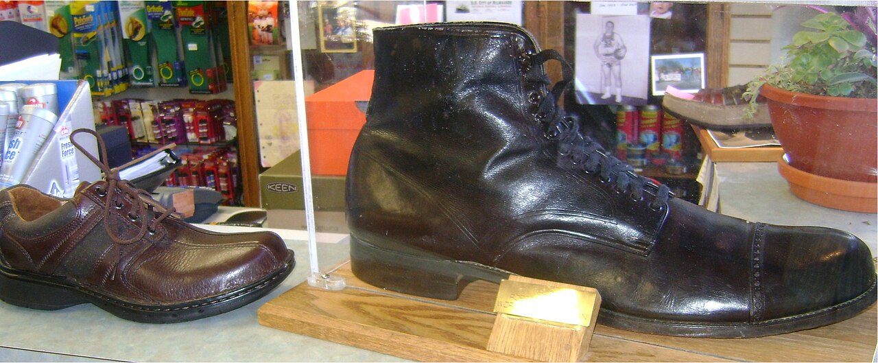 Wadlow_shoe_compared.jpg