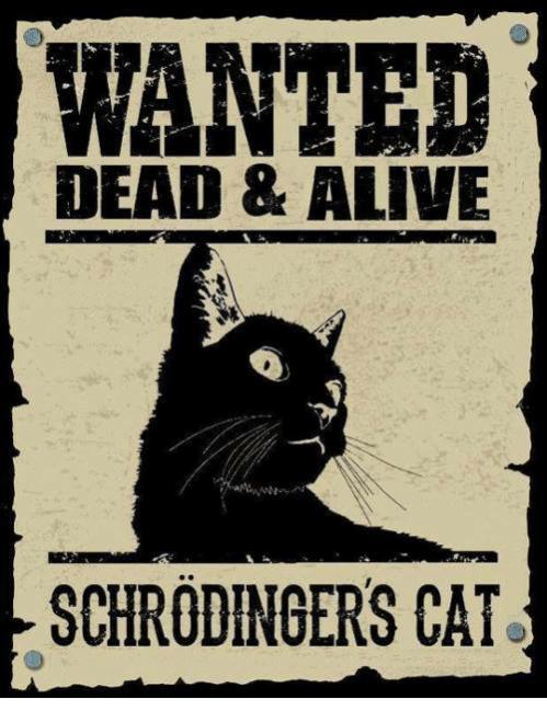 wanted-dead-alive-schrodingers-cat-3465562.jpg