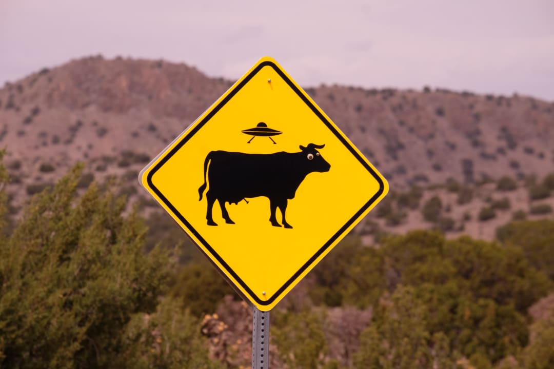 weird-road-signs.jpg