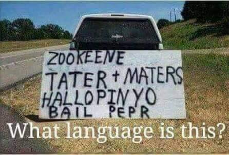 What language is this.jpg