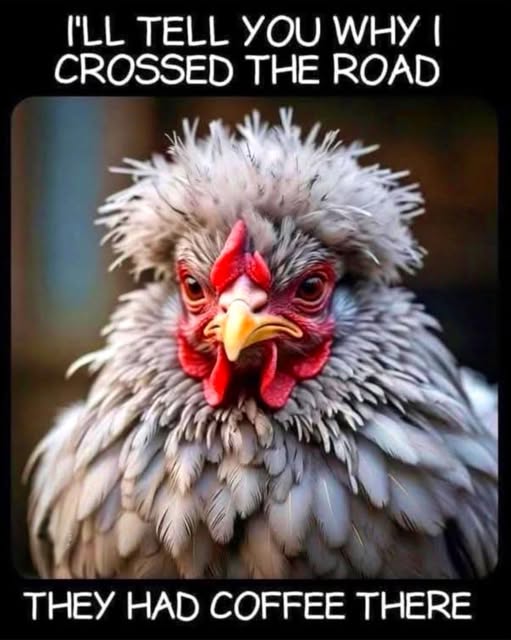 Why I crossed the road.jpg