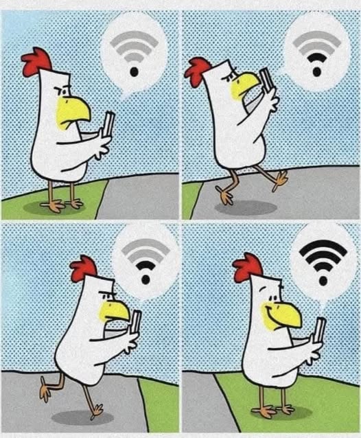 Why  the chicken crossed the road.jpg