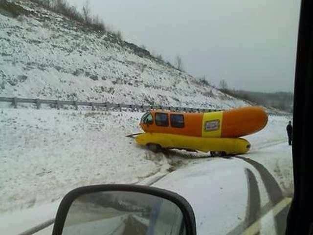 wiener stuck in the snow.jpg