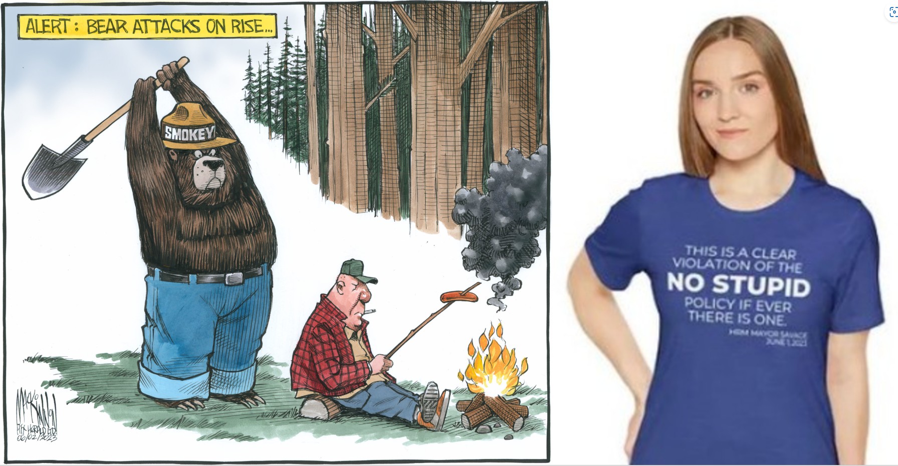 wildfire.jpg