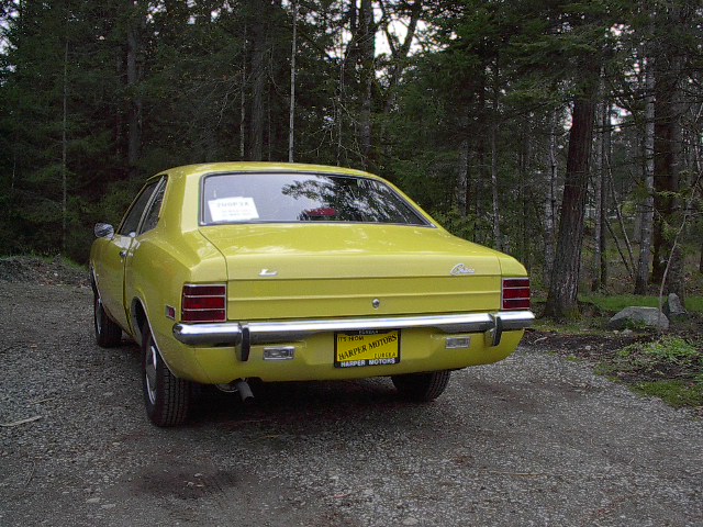 Yellow Cortina 002.jpg