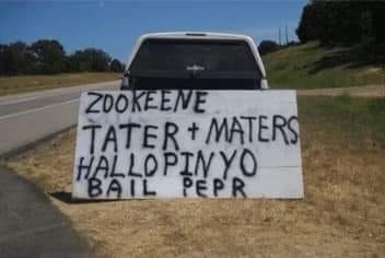zookeene.jpg