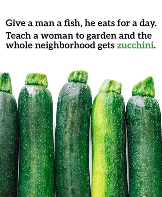 zucchini.jpg