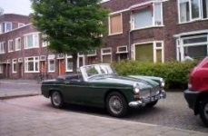 105745-midget.jpg