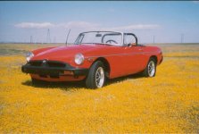 107619-mg1.jpg