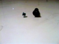 77237-Aug06026.JPG